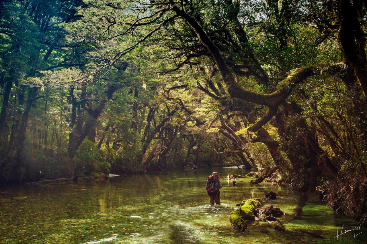 Hermoso Eco Lodge San Martin de los Andes Bagian luar foto