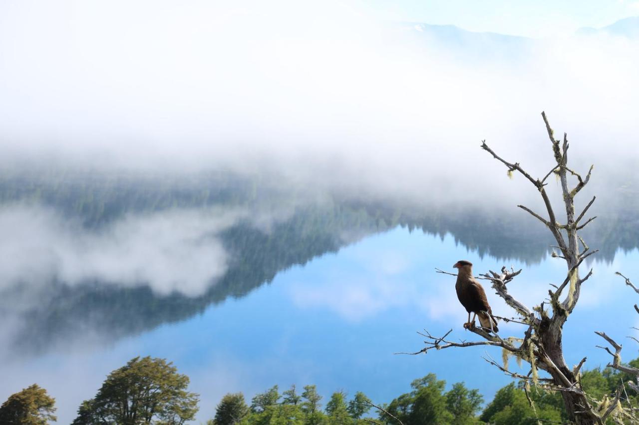 Hermoso Eco Lodge San Martin de los Andes Bagian luar foto