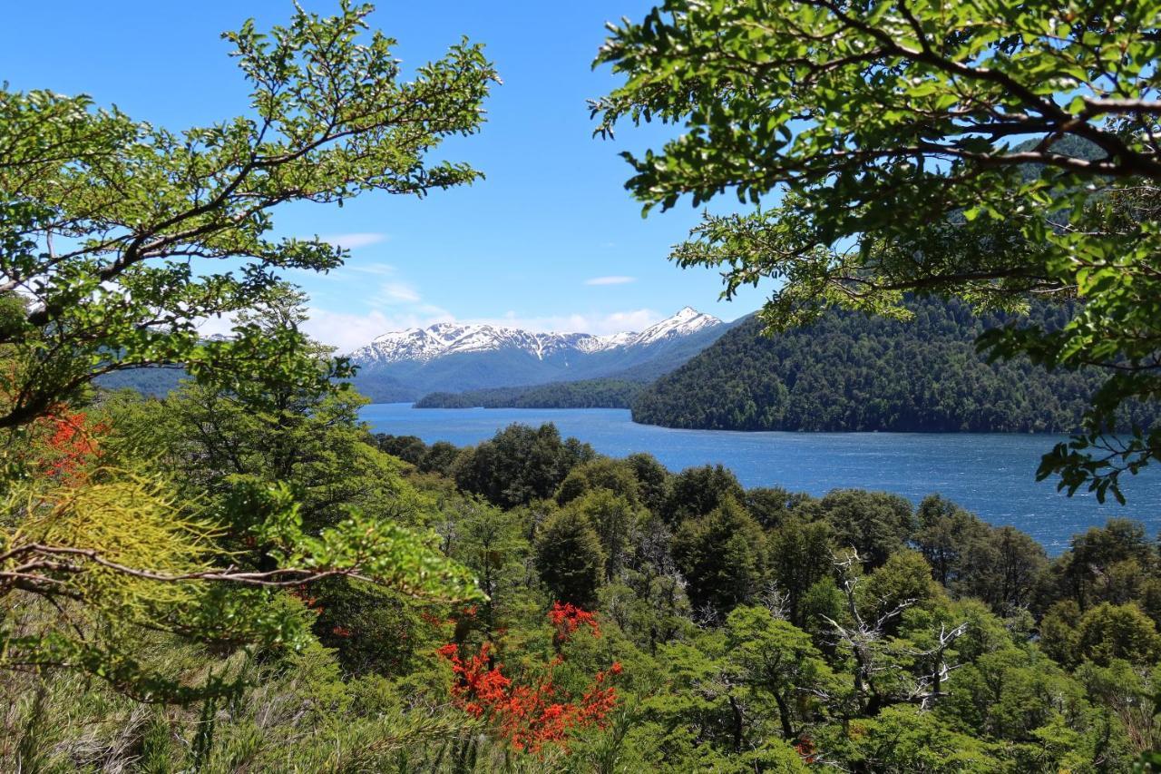 Hermoso Eco Lodge San Martin de los Andes Bagian luar foto