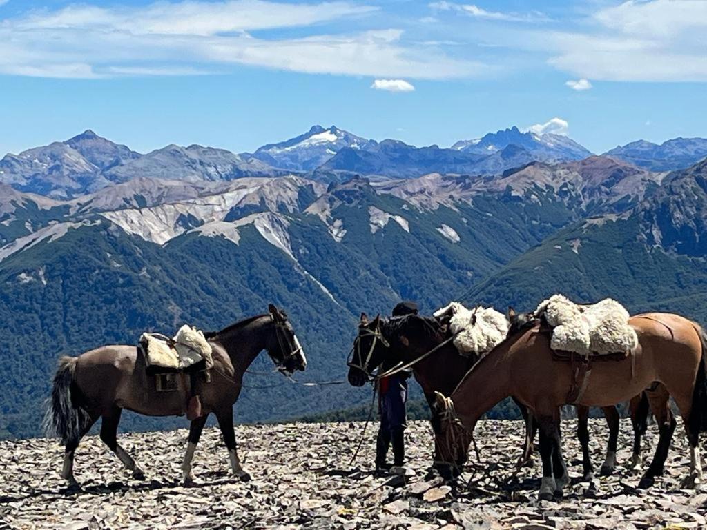 Hermoso Eco Lodge San Martin de los Andes Bagian luar foto