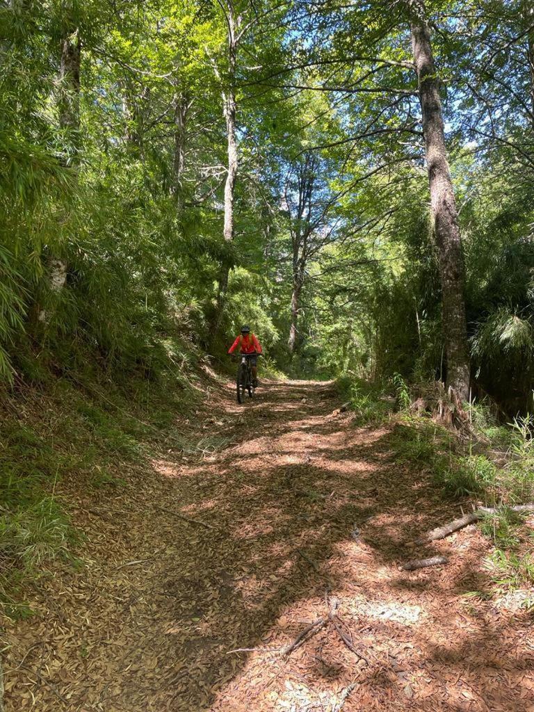 Hermoso Eco Lodge San Martin de los Andes Bagian luar foto